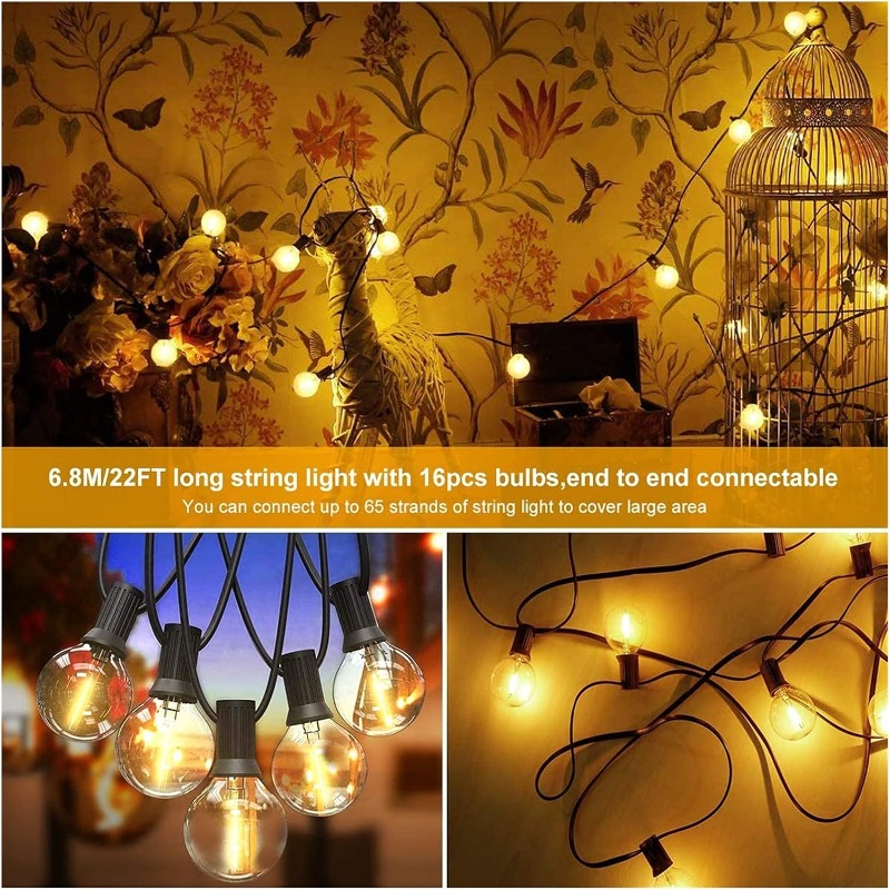 سلسلة إضاءة LED خارجية بطول 64 - مراجعة Outdoor Lighting Effects وسعره